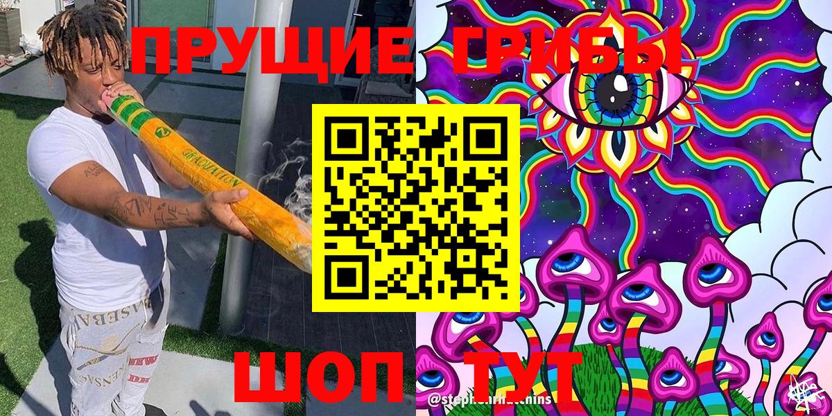 Галлюциногенные грибы Cubensis Красноармейск