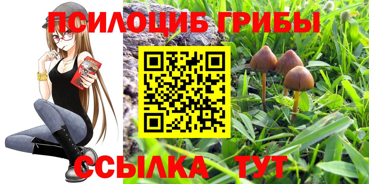 Красноармейск  Псилоцибиновые грибы MAGIC MUSHROOMS  Вход с VPN 